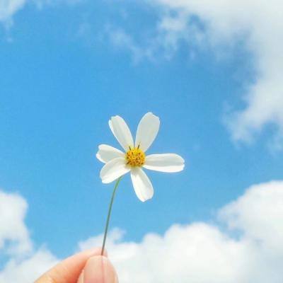 死神觉醒qq登录版下载